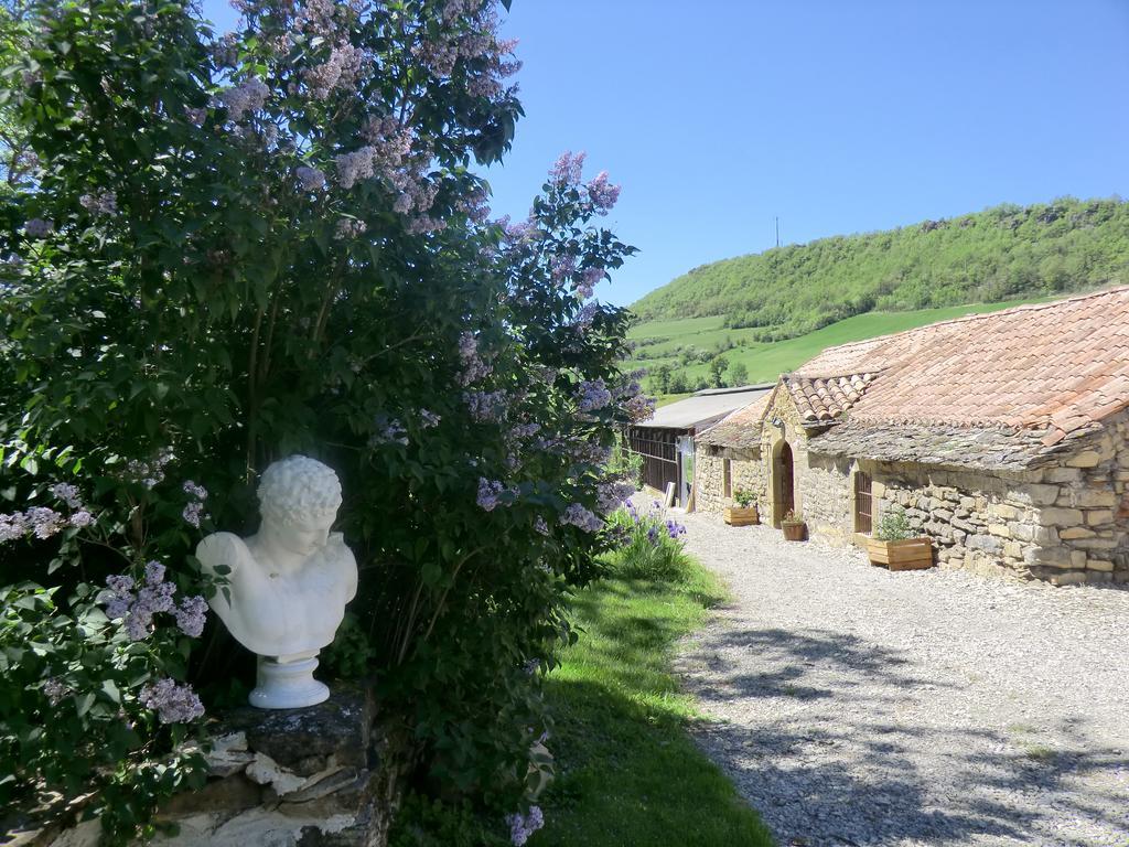 Bed and Breakfast Domaine D'Alcapies Saint-Jean-dʼAlcapiès Zewnętrze zdjęcie