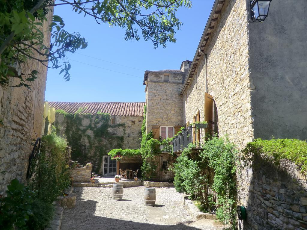 Bed and Breakfast Domaine D'Alcapies Saint-Jean-dʼAlcapiès Zewnętrze zdjęcie