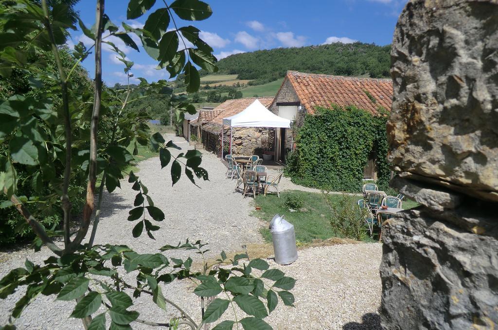 Bed and Breakfast Domaine D'Alcapies Saint-Jean-dʼAlcapiès Zewnętrze zdjęcie