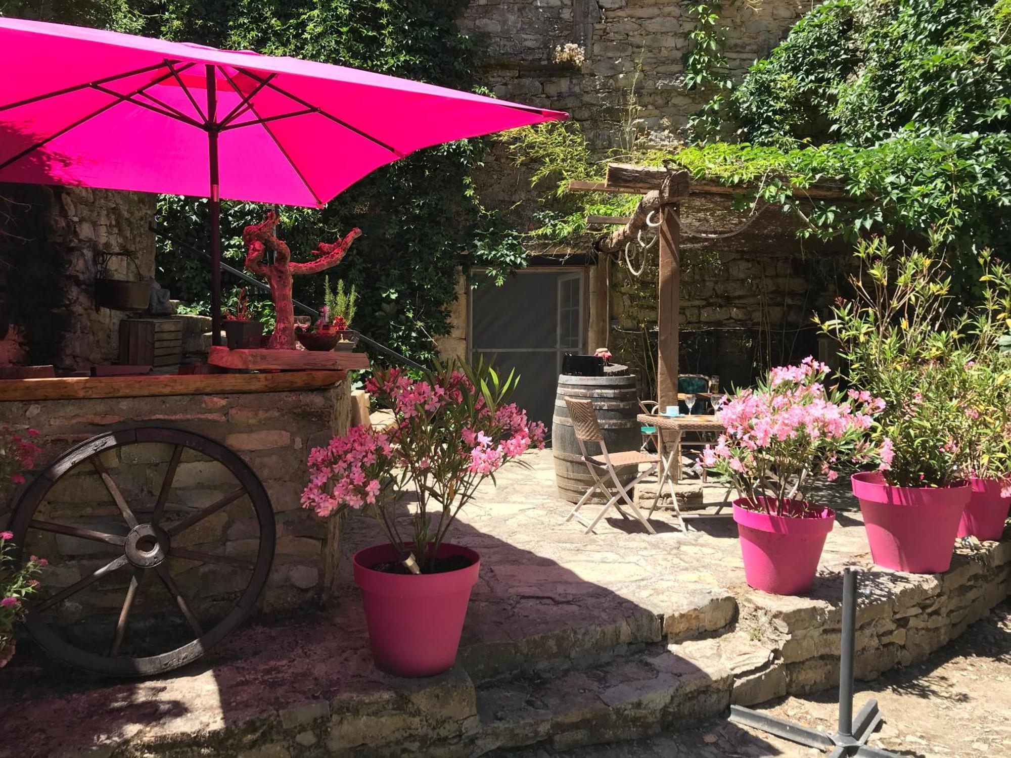 Bed and Breakfast Domaine D'Alcapies Saint-Jean-dʼAlcapiès Zewnętrze zdjęcie