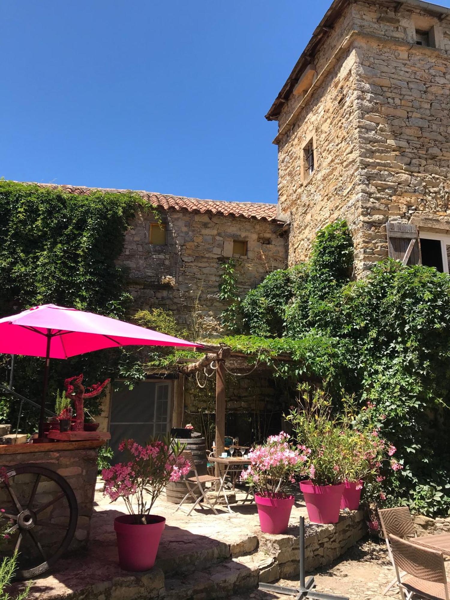 Bed and Breakfast Domaine D'Alcapies Saint-Jean-dʼAlcapiès Zewnętrze zdjęcie